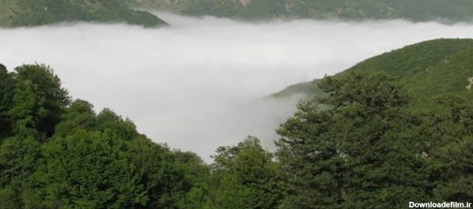 جنگل ابر شگفت انگیز ترین جنگل در ایران