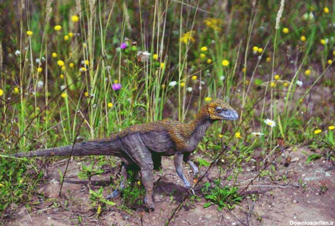 تصویر دایناسور کوچک