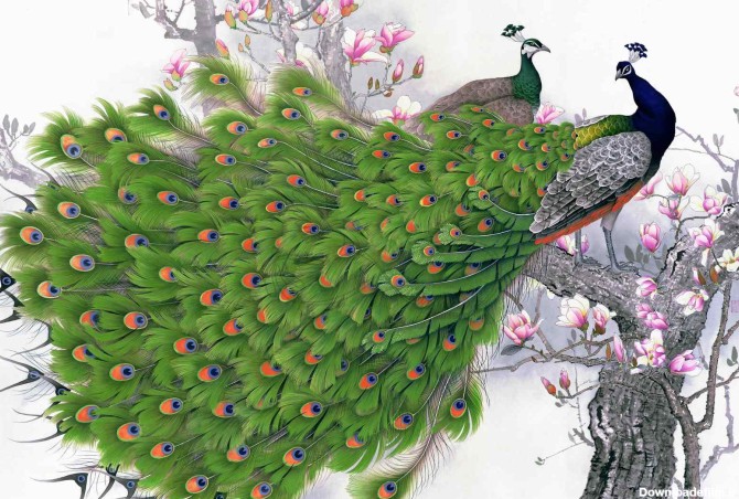 دانلود طرح لایه باز پوستر دیواری نقاشی درختان و شکوفه و طاووس