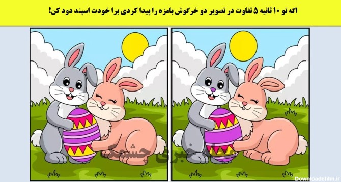 اگه تو 10 ثانیه 5 تفاوت در تصویر دو خرگوش بامزه را پیدا کردی ...