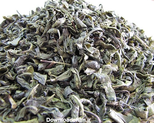 خرید چای سبز اصل (9 نکته که باید قبل از خرید چای سبز بدانید ...