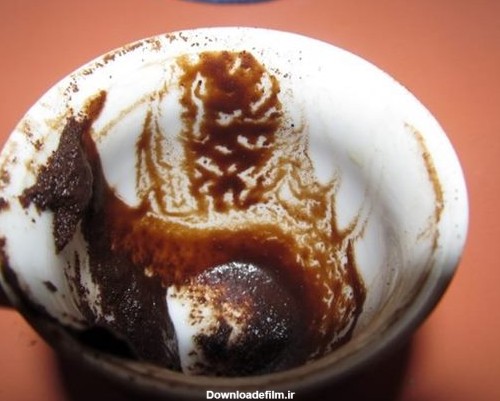 تعبیر و تفسیر خرس در فال قهوه | ستاره