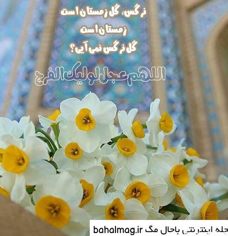Index of /images/عکس_گل_نرگس_نوشته/