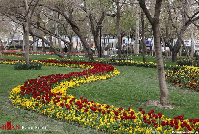 جشنواره گل های بهاری در مشهد
