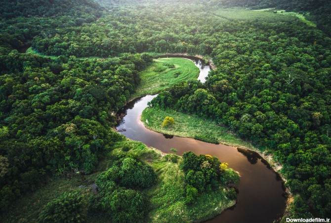 با بزرگ‌ترین جنگل‌های بارانی جهان آشنا شوید