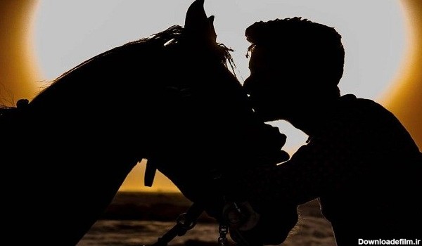 عکس زیباترین اسب های دنیا آلبوم تصاویر قشنگ ترین اسب ها ...
