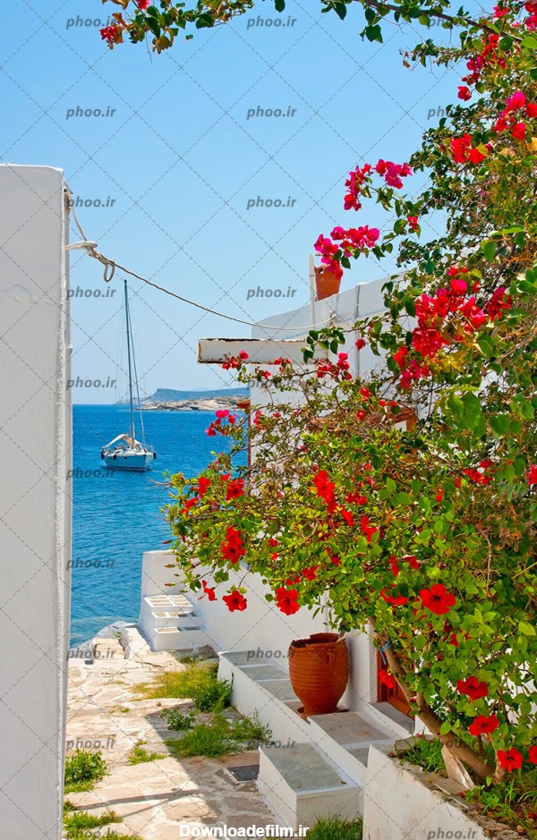 عکس زیبا خانه های کنار دریا با درخت و گل های قرمز و قایق روی اب ...