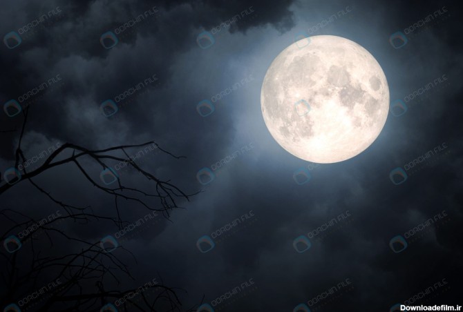 عکس قرص کامل ماه در شب - مرجع دانلود فایلهای دیجیتالی