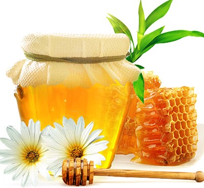 افزایش تولید محصولات جانبی عسل ...