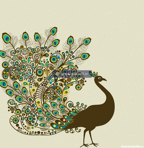 وکتور کارتونی طرح طاووس زیبا بصورت لایه باز
