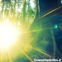 عکس های زیبا از تابش نور خورشید