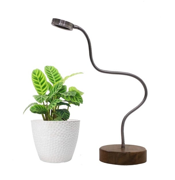 لامپ رشد گیاه رومیزی