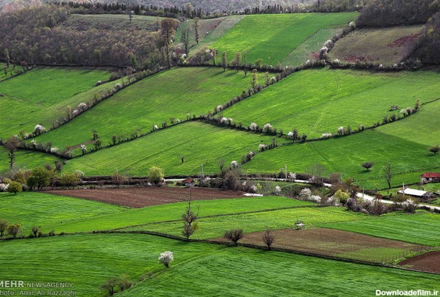 زیبایی های بکر طبیعت مازندران (+عکس)