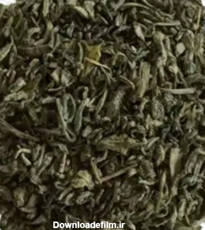 خرید و قیمت چای سبز اصل درجه یک لاهیجان | ترب