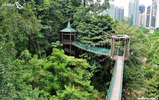 پارک جنگلی اکو مالزی + عکس | لحظه آخر