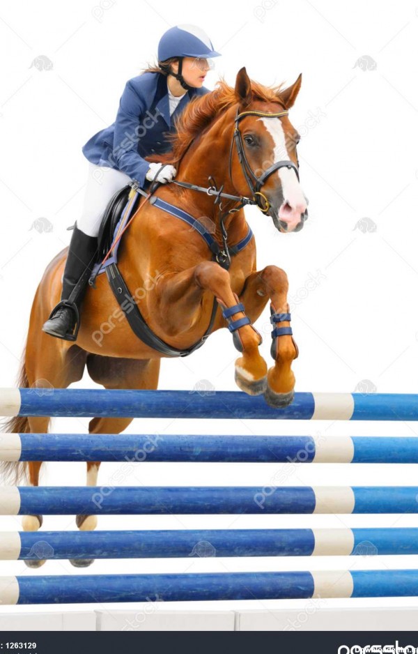 ورزش سوارکاری نشان دادن پریدن زن جوان و ترشک اسب نر در پس زمینه ...