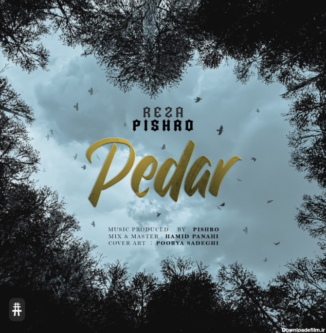 Pedar - Reza Pishro: Song Lyrics, Music Videos & Concerts