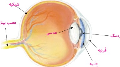 عکس چشم انسان کلاس پنجم