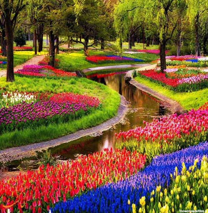 باغ گل کوکنهوف در هلند+ تصاویر