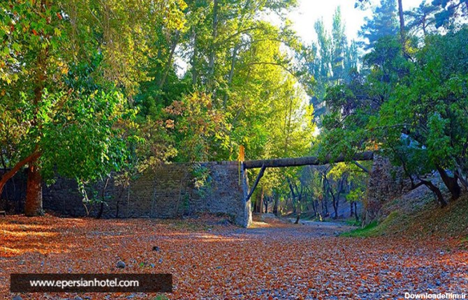 پارک جنگلی وکیل آباد مشهد کجاست؟ اطلاعات، عکس و آدرس