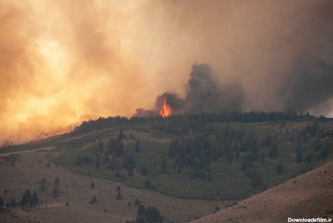 دانلود تصویر آتش سوزی بزرگ در جنگل