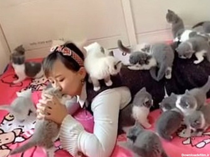 زن جوان چینی ده‌ها بچه گربه را به فرزندی قبول کرد! +تصاویر