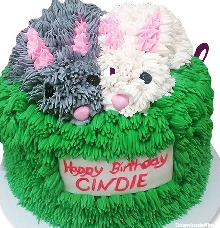 کیک تولد حیوانات - کیک خرگوش ۷ | کیک آف
