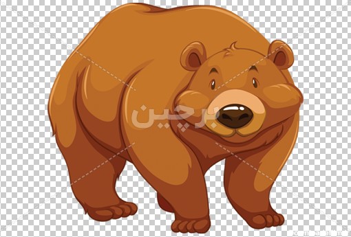 Borchin-ir-light brown bear دانلود عکس وکتور خرس قهوه ای مهربون۲