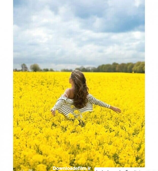 عکس دخترونه زرد برای پروفایل ❤️ [ بهترین تصاویر ]