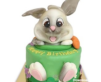 کیک تولد بچه گانه - کیک خرگوش 17 | کیک آف