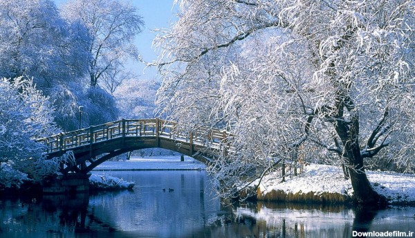 عکس پل زیبا و درخت های برفی با منظره ای رمانتیک در فصل زمستان