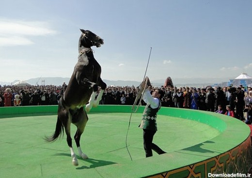 حرکات نمایشی بر روی اسب ترکمن (+عکس)