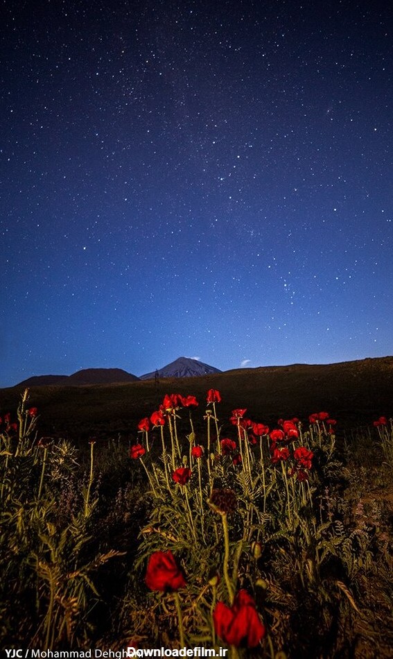 خبرآنلاین - تصاویر | آسمان حیرت انگیز در شب