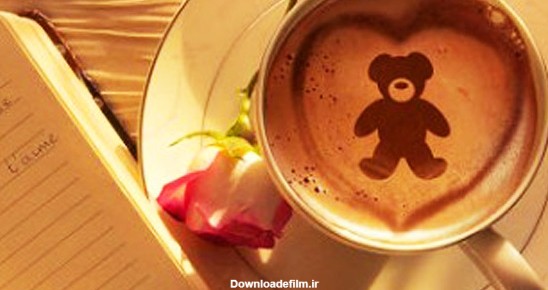 تعبیر خرس عروسکی در فال قهوه دیدن