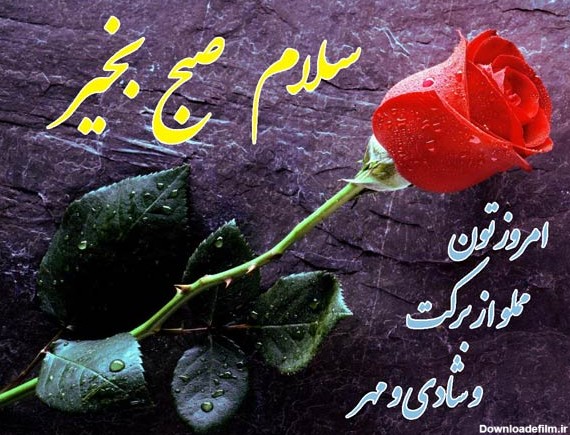 سلام صبح بخیر عاشقانه❤️+ متن صبح بخیر زیبا برای عشقم ...