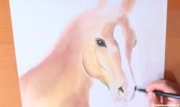 آموزش نقاشی سر اسب