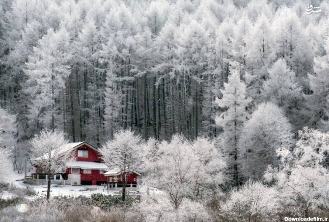 مشرق نیوز - عکس/ طبیعت زیبای زمستانی در ژاپن