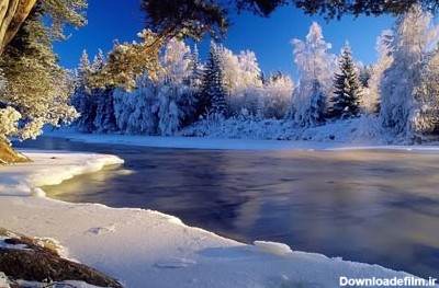 تصاویری زیبا و دیدنی از زمستان برفی - تصاوير بزرگ - بهار نیوز