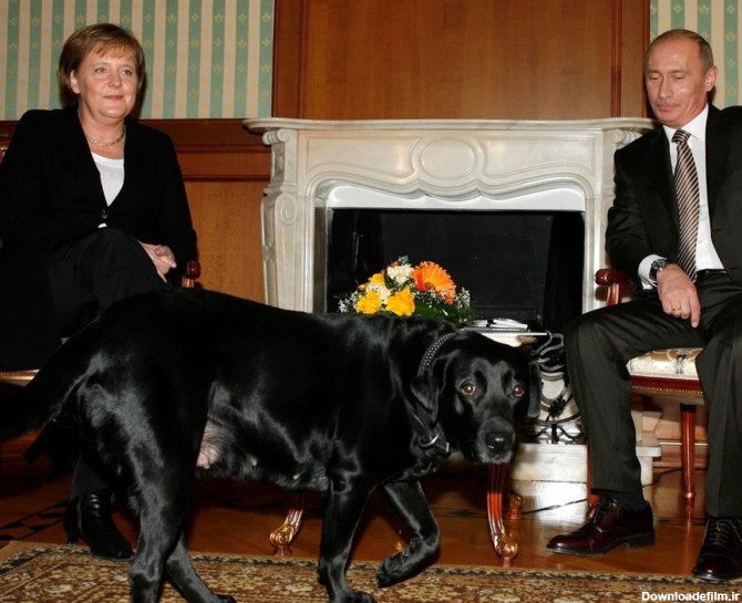 قدرت‌نمایی پوتین در برابر رهبران جهان/ ترساندن مرکل با سگ سیاه