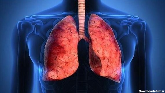 از کجا بفهمیم ریه‌هایمان درگیر "کرونا" شده؟ | دانشگاه علوم پزشکی
