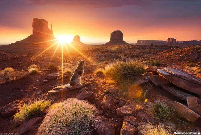تصاویری زیبا از طلوع خورشید درسراسر دنیا - تصاوير بزرگ - بهار نیوز