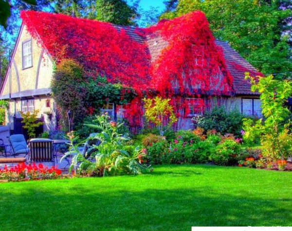 عکس خانه ویلای زیبا