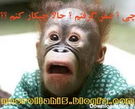 عکس های طنز در مورد امتحانات خرداد ( پست ثابت تا پایان امتحانات )