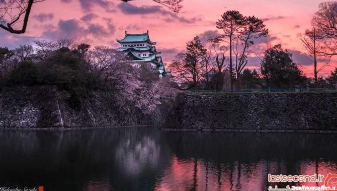 تصاویر رویایی از ژاپن و شکوفه های بهاری آن ‏ | لست‌سکند