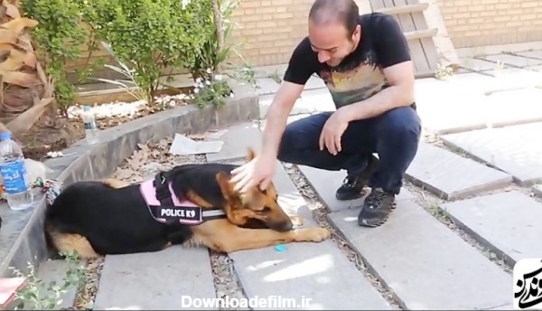 حسن ریوندی - تست باهوش ترین سگ ایران تیدا