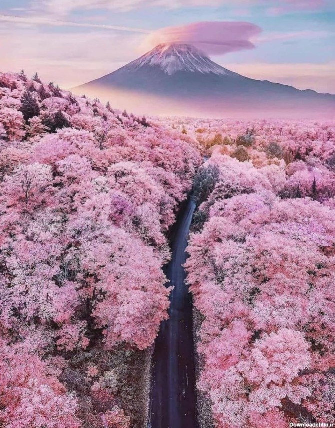 اقتصاد آنلاین - طبیعت زیبای ژاپن + عکس