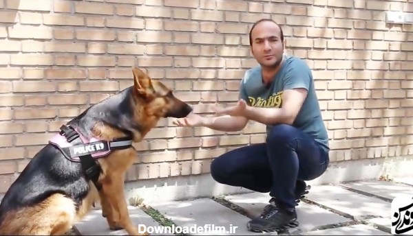 حسن ریوندی - تست باهوش ترین سگ ایران تیدا