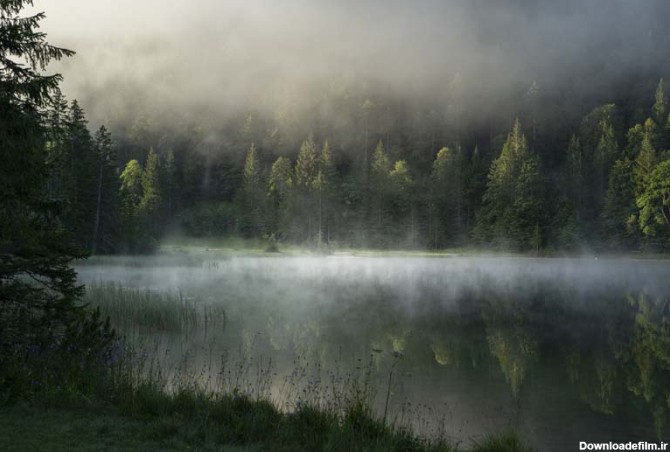 تصویر باکیفیت رودخانه در میان جنگل مه گرفته