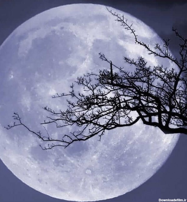 عکسهای زیبای ماه برای پروفایل