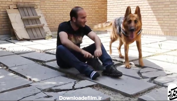 Hasan Reyvandi Tida Dog | حسن ریوندی - تست باهوش ترین سگ ایران تیدا